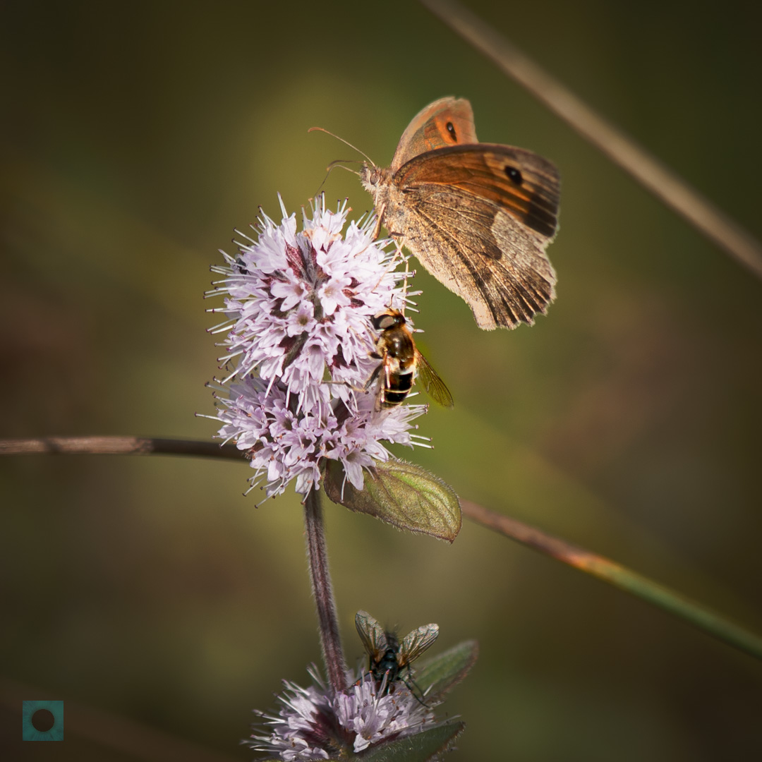 Kport160 0g DSC8603 EditDXO
